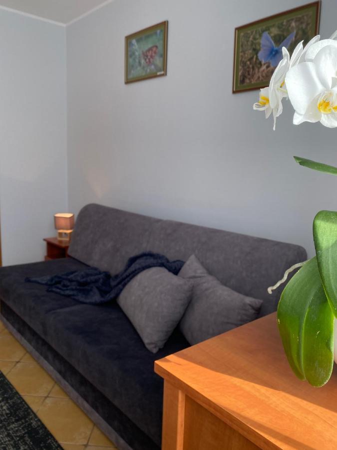 Pokoje Pod Kasztanami Jantar Extérieur photo